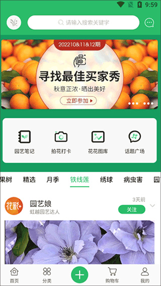 虹越app4