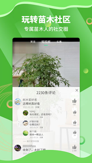 苗木通2