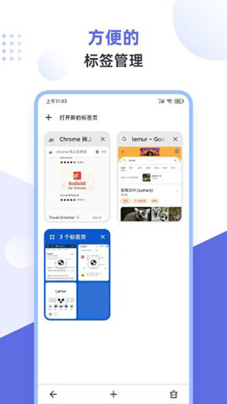 狐猴浏览器5