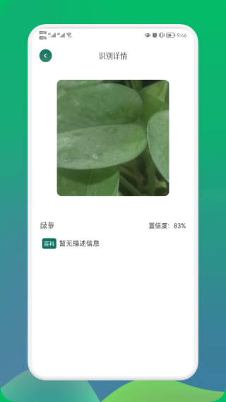 小园丁app1