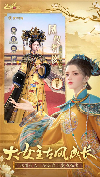 延禧攻略之凤凰于飞正式版4