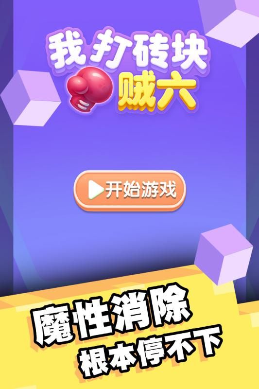 我打砖块贼六最新安卓版本下载v1.0.8