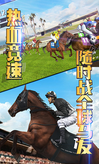 相马大师游戏破解版3