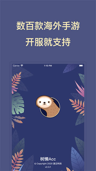 树懒Acc加速器最新版1