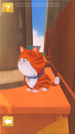 时间猫5