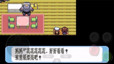 口袋妖怪红宝石手机版3