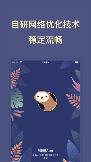 树懒Acc加速器最新版4