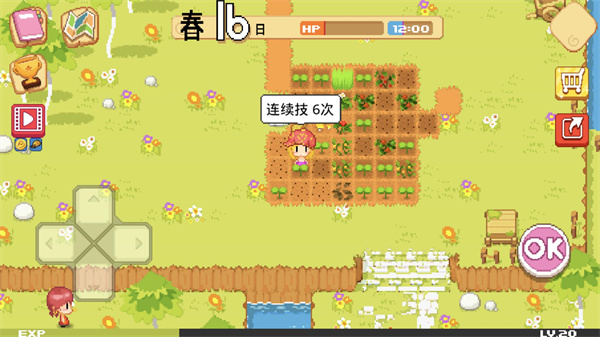 公主的农场故事国际服(The Farm)2