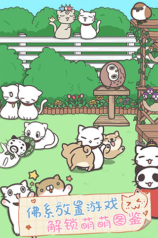 猫咪饲养日常中文版3