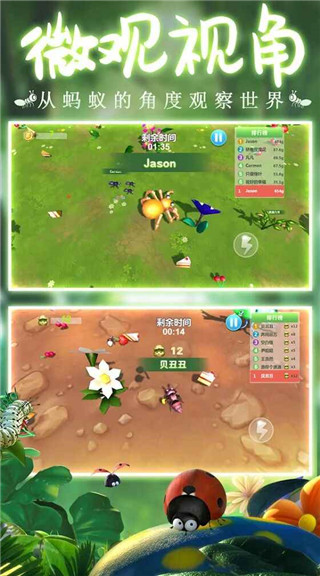 蚂蚁行军团最新版5