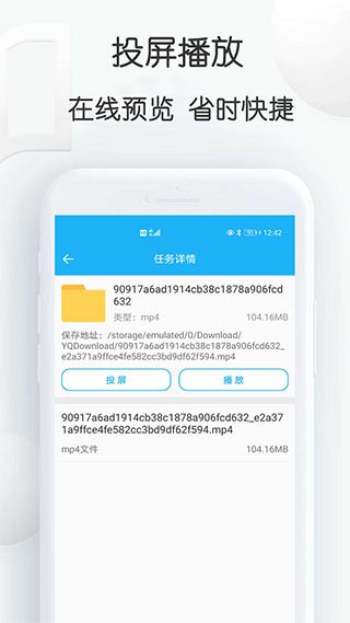 云雀idm网页视频下载器免费版4