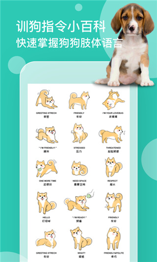 狗语翻译app4