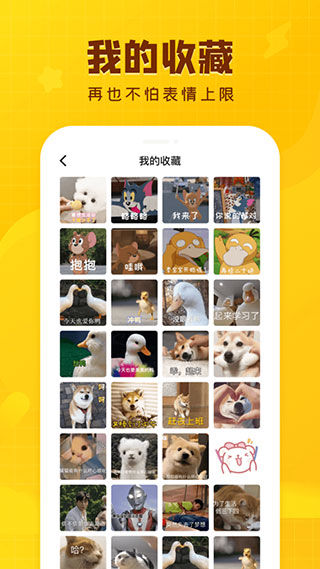 闪萌表情APP5