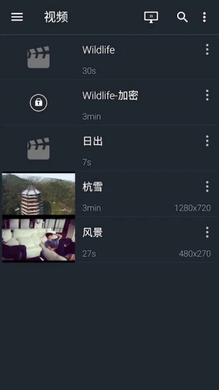 金狮播放器手机版1