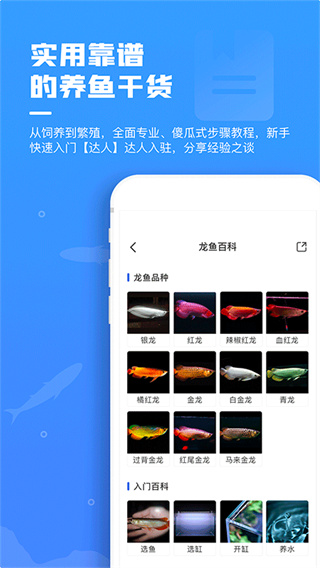 鲲天下鱼友交流社区3