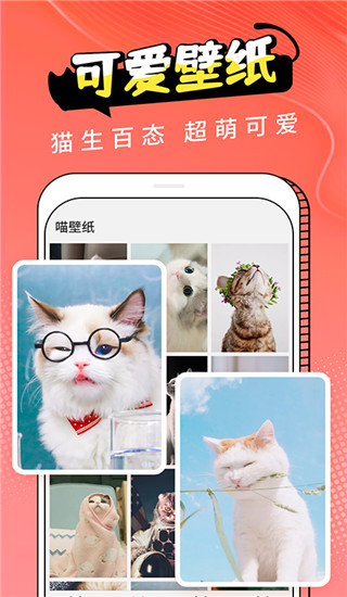 猫翻译app3