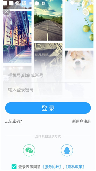 搞趣壁纸app5