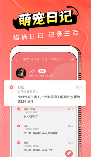 猫翻译app4