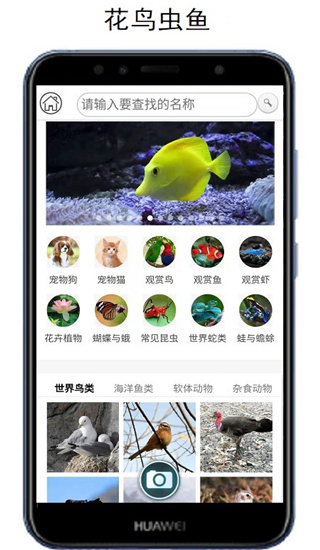 万物识别app5