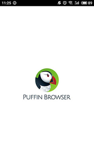 puffin浏览器国际版4