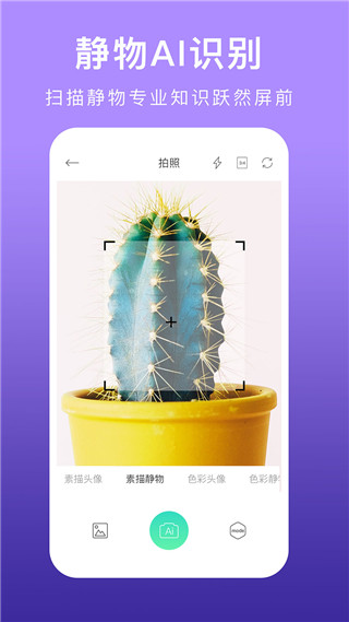 美术拍app4