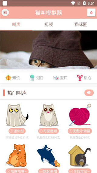 猫叫模拟器app1