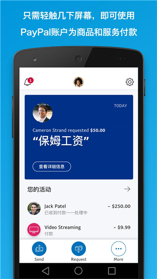 PayPal贝宝支付1