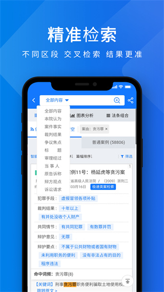 聚法案例app2