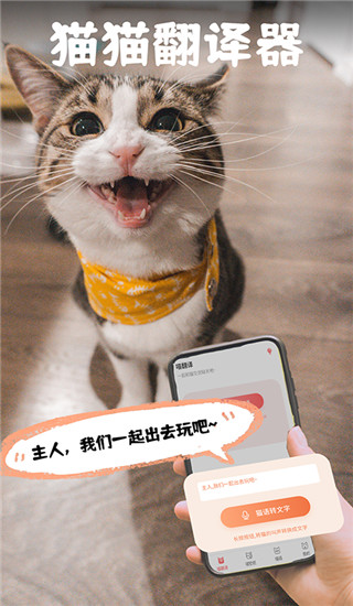 猫翻译app1