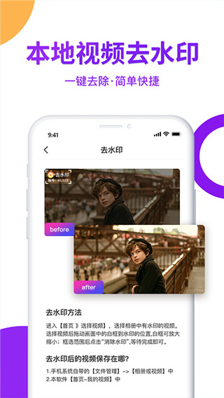 视频去水印大师4