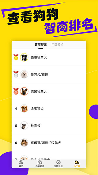 狗语翻译器app3